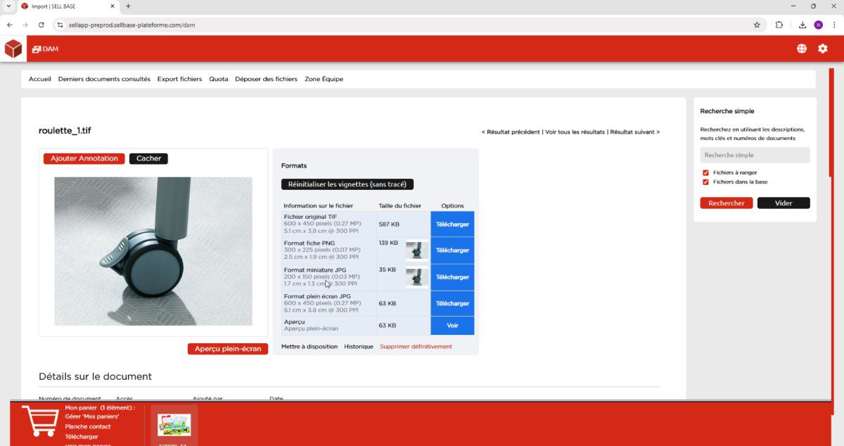 Interface DAM SELL Marketing
